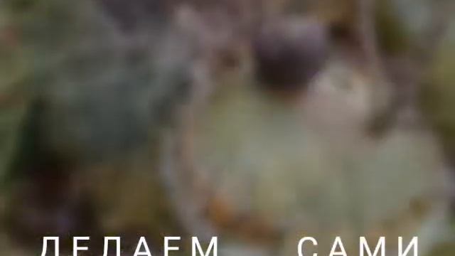 Поделки Дары Осени смотреть онлайн