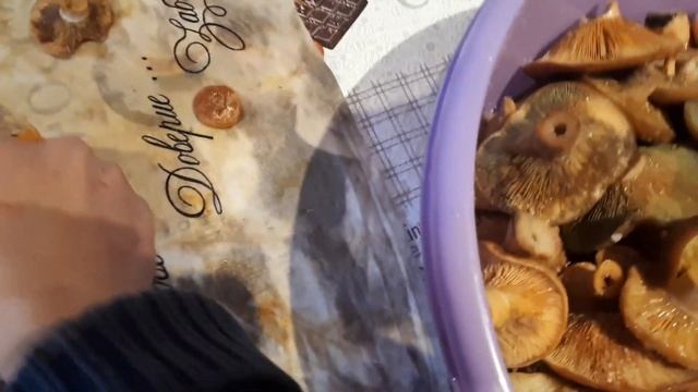 Соленые рыжики смотреть онлайн