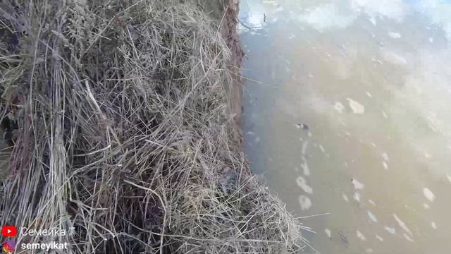 Наш пруд набрался водой. Проблемы с берегами пруда весной. Искусственный пруд на участке с рыбой и?