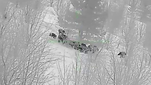 Тепловизор NORDFORCE YUKON Часть 2 смотреть онлайн