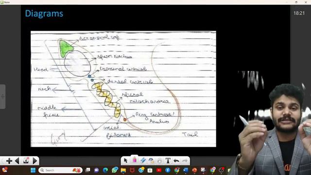 How to score 50/50 in Biology Class 10 Boards 💥| SSC 2024 Board exams | SSC Science | SSC 2024
