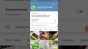 Файлы, медиа, ссылки в телеграмм.