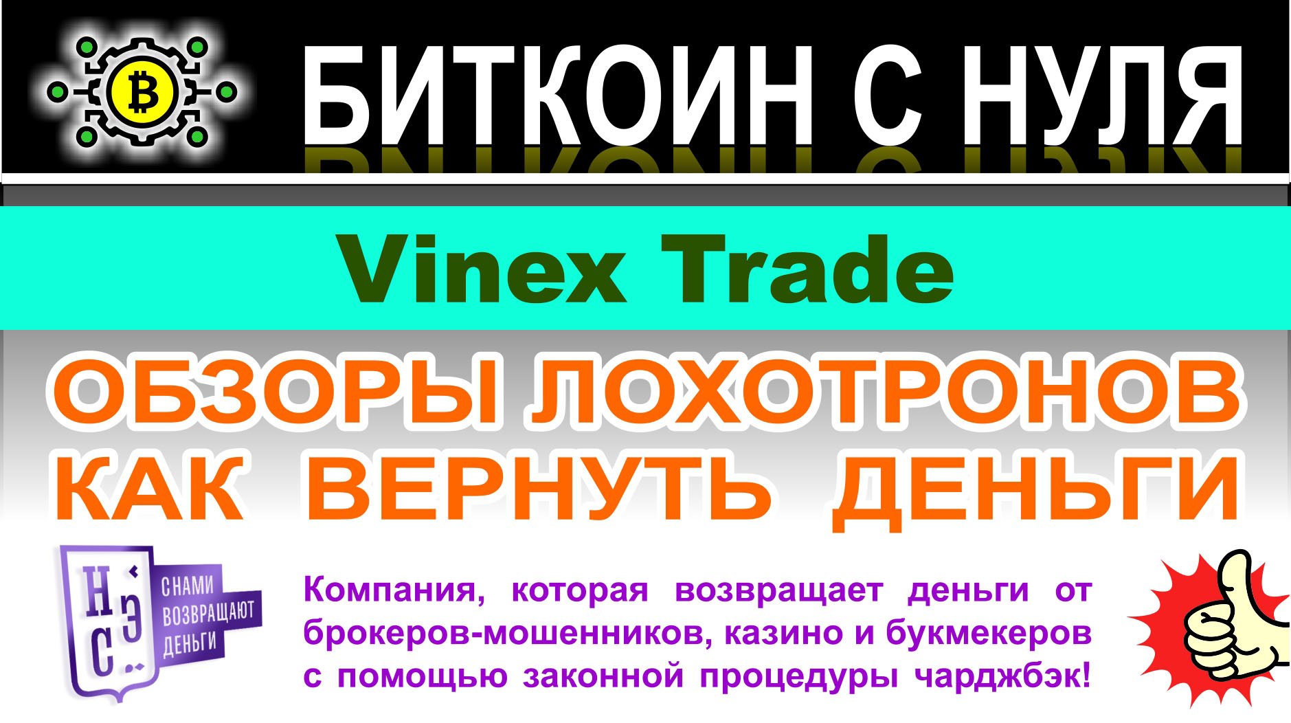 Vinex Trade — что за проект? Пирамида и ХАЙП или можно инвестировать? Отзывы.