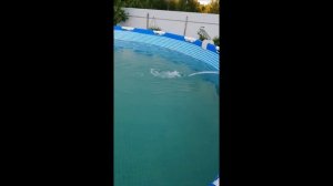 Способы очистки бассейна. Кристально чистая вода в бассейне. (Очистка бассейна перекисью водорода).