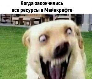 Мемы про МАЙНКРАФТ и немного ФОРТНАЙТ..