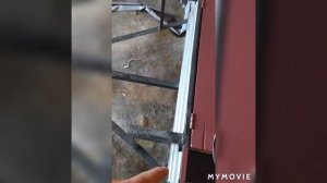 Бюджетный прицеп для мотоблока своими руками, ч. 2.