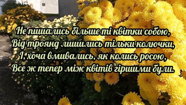 ТРОЯНДИ Й ХРИЗАНТЕМИ - Леся Данильчик | християнський вірш