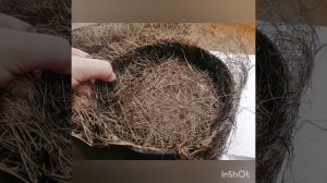 Поделка к Пасхе, 2024 год