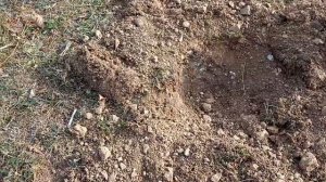 Восточный коп.Небольшой кошель Золотой Орды