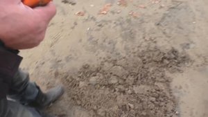 Как металлоискатель Minelab X Terra 705 видит золото и монеты