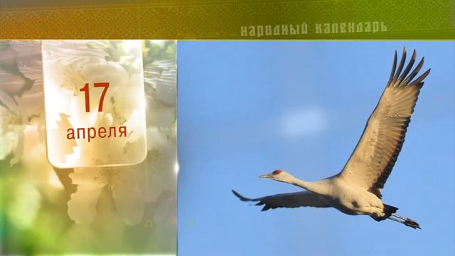 17 Апреля - Ежедневный Народный Календарь