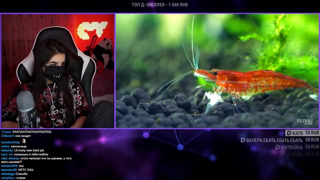 TenderlyBae смотрит ЧТО СЛУЧИЛОСЬ В ПОДВОДНОМ ТЕРРАРИУМЕ смотреть онлайн