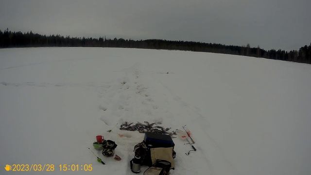 Рыбалка с Фёдоровичем-Север Карелии смотреть онлайн