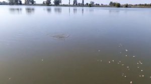 Рыбалка в КБР