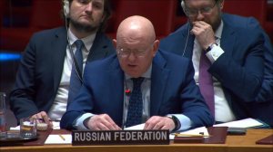 Statement by Ambassador Vassily Nebenzia at UNSC briefing on the humanitarian situation in Gaza