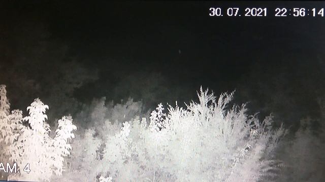 Молитва Всескорбящей Царице Небесной. смотреть онлайн