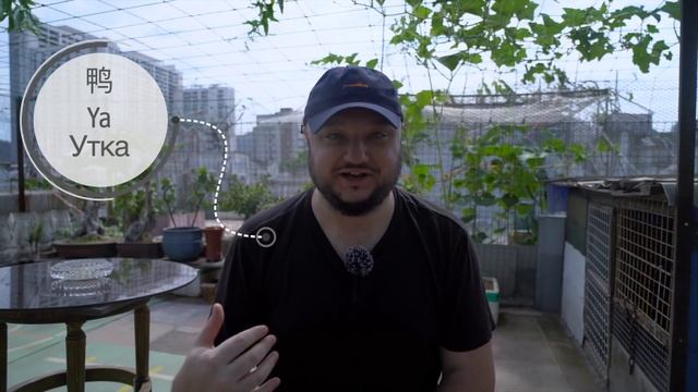 Десять ОЧЕНЬ ГЛУПЫХ ошибок туристов в Китае!