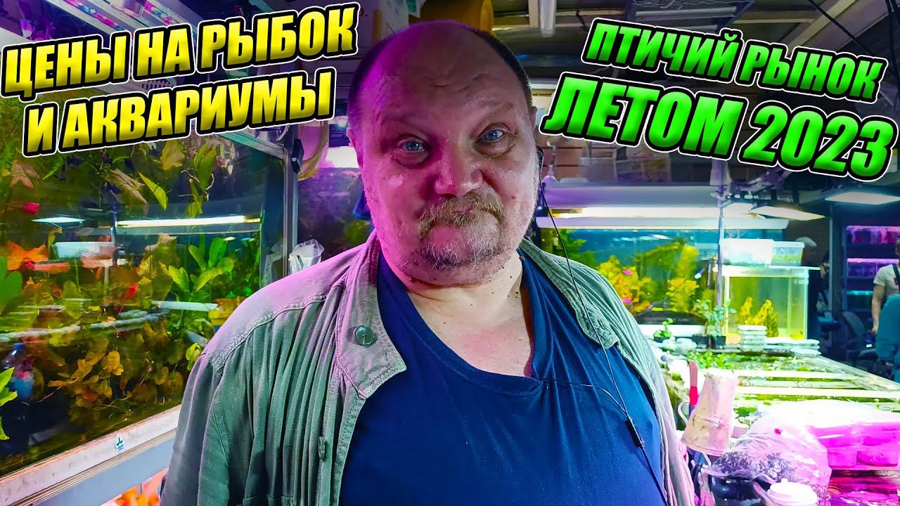 Птичий рынок Садовод летом! Наконец-то отдал всю пистию дяде Мише