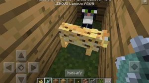 Как приручить оцелота в майнкрафте