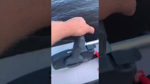 Дистанционное управление на Риб RiverBoats rb380 + Tohatsu 18
