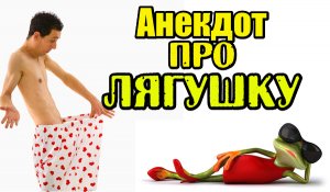 Анекдот про Лягушку. Прикольный анекдот.