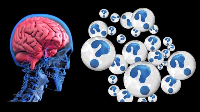 Что у тебя внутри головы? Функции и тайны мозга человека. Интересные факты
