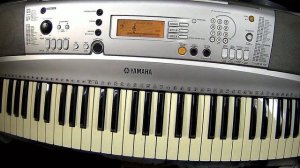 YAMAHA PSR-e313 (DEMO songs) part 1/3