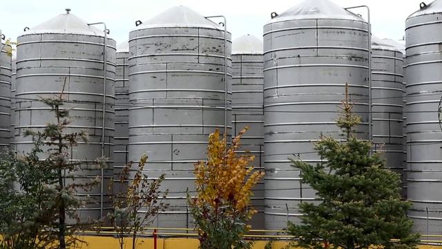 75 ЛЕТ - ТАРАКЛИЙСКОМУ РАЙОНУ смотреть онлайн