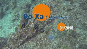Острова Ко-Ха. 2017г.