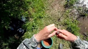 Рыбалка на поплавок на пруду. Летняя рыбалка на поплавок на ельца. Рыбалка на фидер на пруду.
