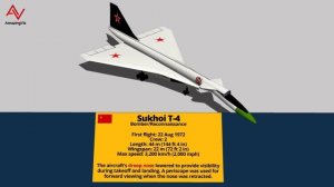 Crazy Soviet Union Aircraft Type & Size Comparison 3D