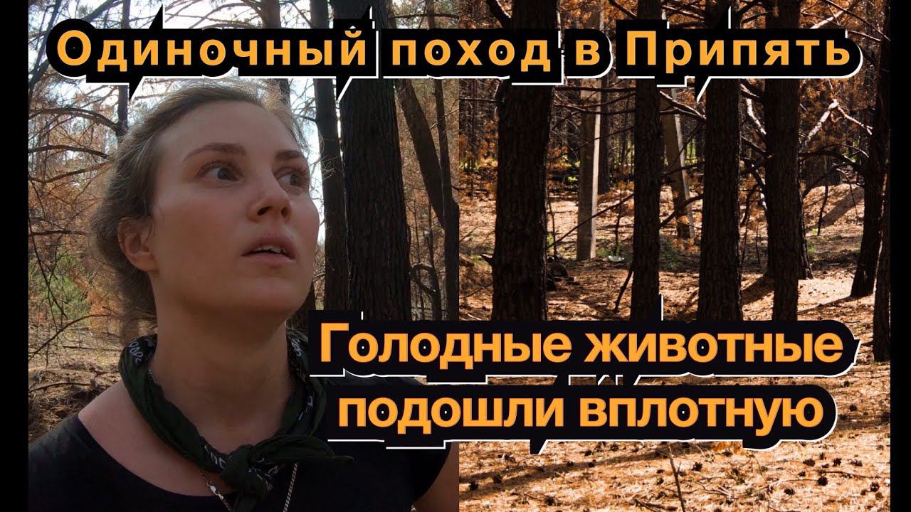 Одиночный поход в Припять. Дикие животные подошли совсем близко. Девчонка в ЧЗО. Bushcraft. Часть 2 смотреть онлайн