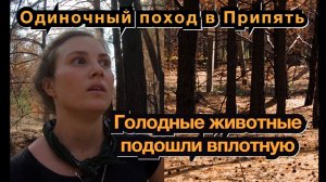 Одиночный поход в Припять. Дикие животные подошли совсем близко. Девчонка в ЧЗО. Bushcraft. Часть 2