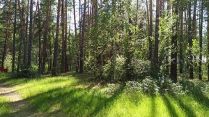 Обзор домика с удобствами?Цены озеро ЯЛЬЧИК #пансионат#Яльчик#отпуск#лес#природа#озеро#лето