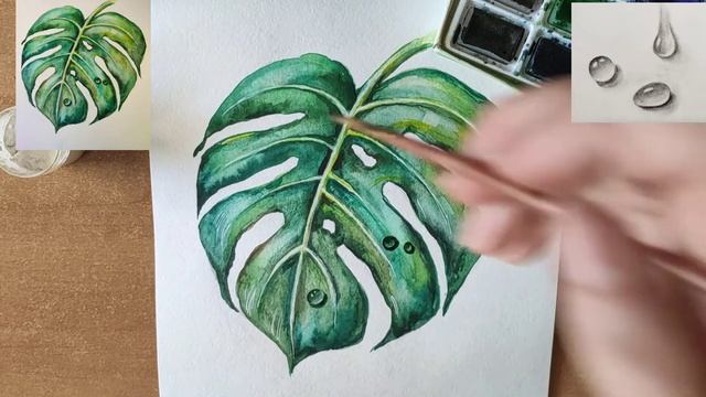 Как нарисовать акварелью капли воды на листе монстеры. Watercolor painting tutorial: water drops смотреть онлайн