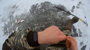 Рыбалка на Оке на покаток. Ловля густеры и синца