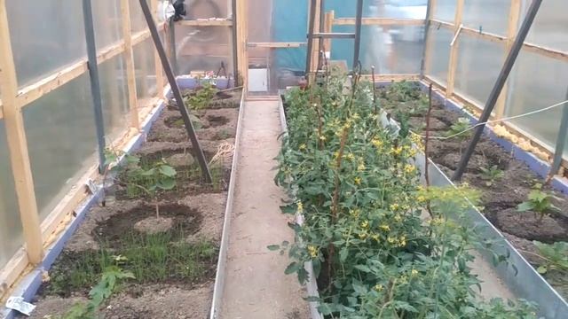 Теплица, металлокаркасная, или деревяннокаркасная + и -,. 18 мая 2020 г. смотреть онлайн