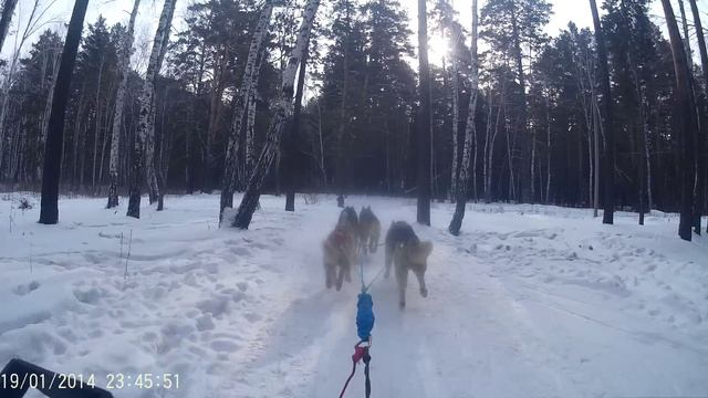 Курган УрФО 18-19.02.23