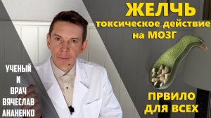 ЖЕЛЧЬ токсическое действие на МОЗГ! Правила для всех
