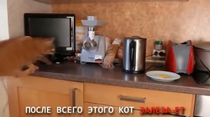 ВСЕ ПЕСНИ БРАЙНА МАПСА |•МИСТЕР САКС•|Sucks√