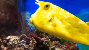 Привет, Андрей! Мем