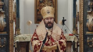 Проповедь Митрополита Илариона (Алфеева) - Сигнал для меня (20.01.14)