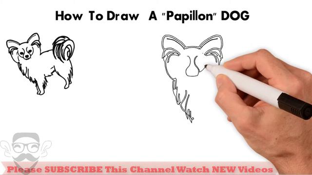 How To Draw A Papillon DOG | Drawing step by step Papillon Dog | Draw Easy For Kids