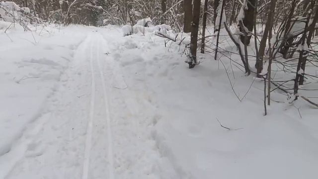 Покатушки на снегоходе в лесу!!! Следы лося!!! Кабаньи следы!!! смотреть онлайн