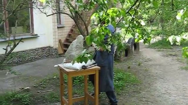 Каменная скульптура 11 класс.AVI