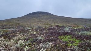 Золотой хребет. Chukotka. The Golden Ridge.