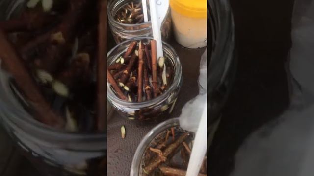 Метельчатые гортензии, весенние черенки смотреть онлайн