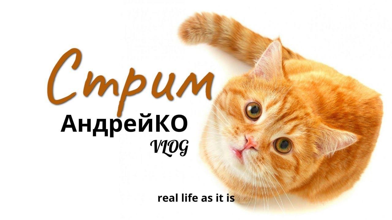 Онлайн...