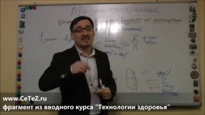 Защитные Свойства Жиров. фрагмент из вводного курса "Технологии здоровья" Заболотный К.Б.