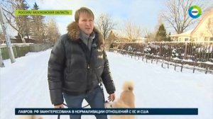 Питомцы Путина. Каких животных дарили президенту